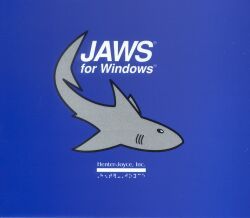 Jaws Professional - Screenreader (VIDEBIS  Edition)